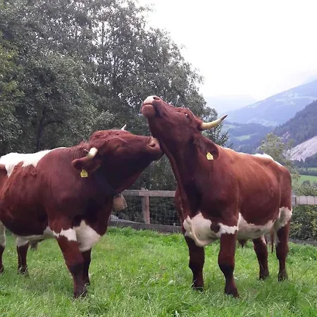 Lechnerhof *