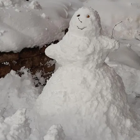 Appartement Lechnerhof *