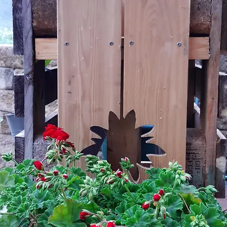 Lechnerhof Apartament Schladming