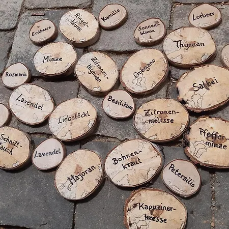 Lechnerhof Apartament