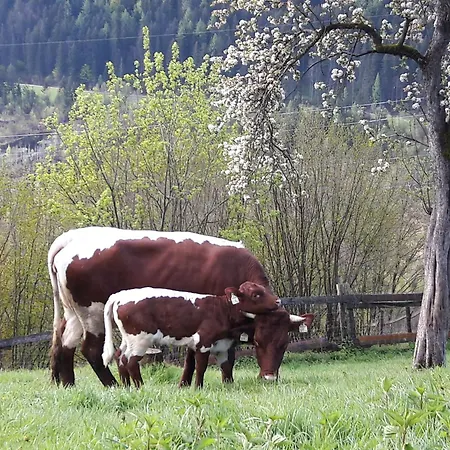 Lechnerhof *