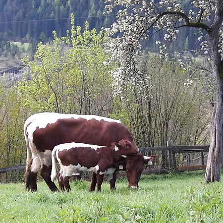 Lechnerhof *