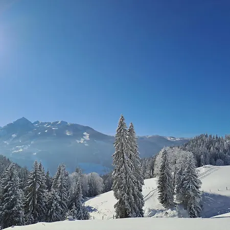 Lechnerhof Appartement