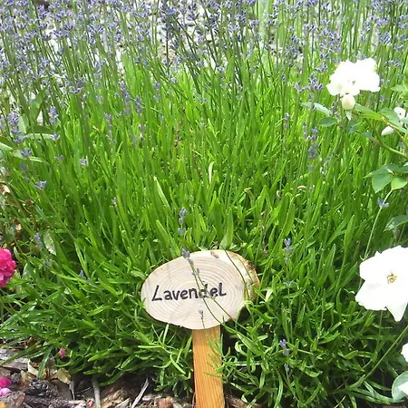 アパート Lechnerhof *