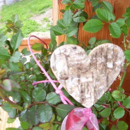 Lechnerhof Appartement Schladming